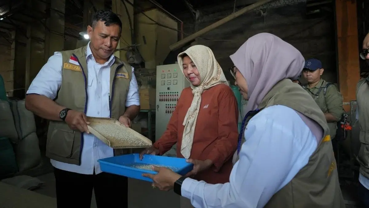 Direktur Utama BULOG Pantau Kualitas Beras Cadangan Pemerintah di Demak Direktur Utama BULOG Pantau Kualitas Beras Cadangan Pemerintah di Demak